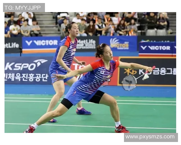 南京羽毛球队耐力对比深度剖析与训练策略探讨