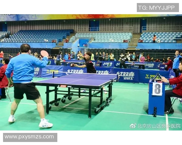 北京乒乓球队团队协作表现的深入数据分析与研究探讨