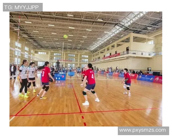 成都排球队创新高排球配合排名再攀新高峰展现团队实力与默契